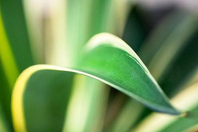 国产3D武侠RPG《霸剑霄云录》正式登陆Steam和WeGame 售价69元